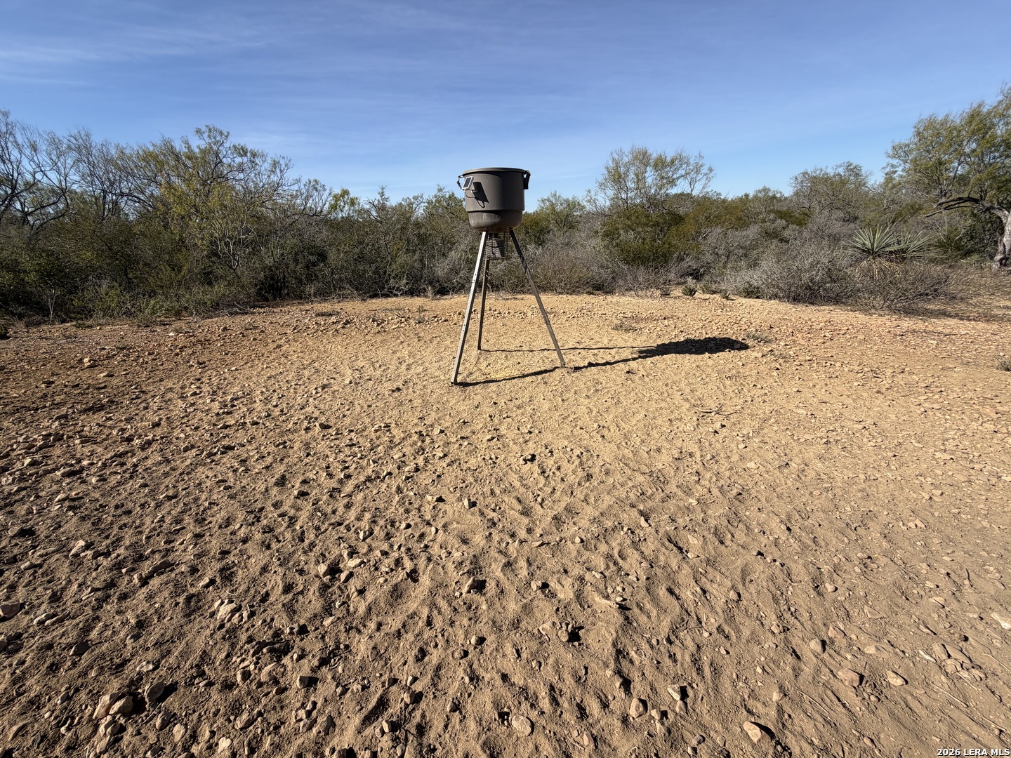 TBD CR 2537/Moore Hollow Road