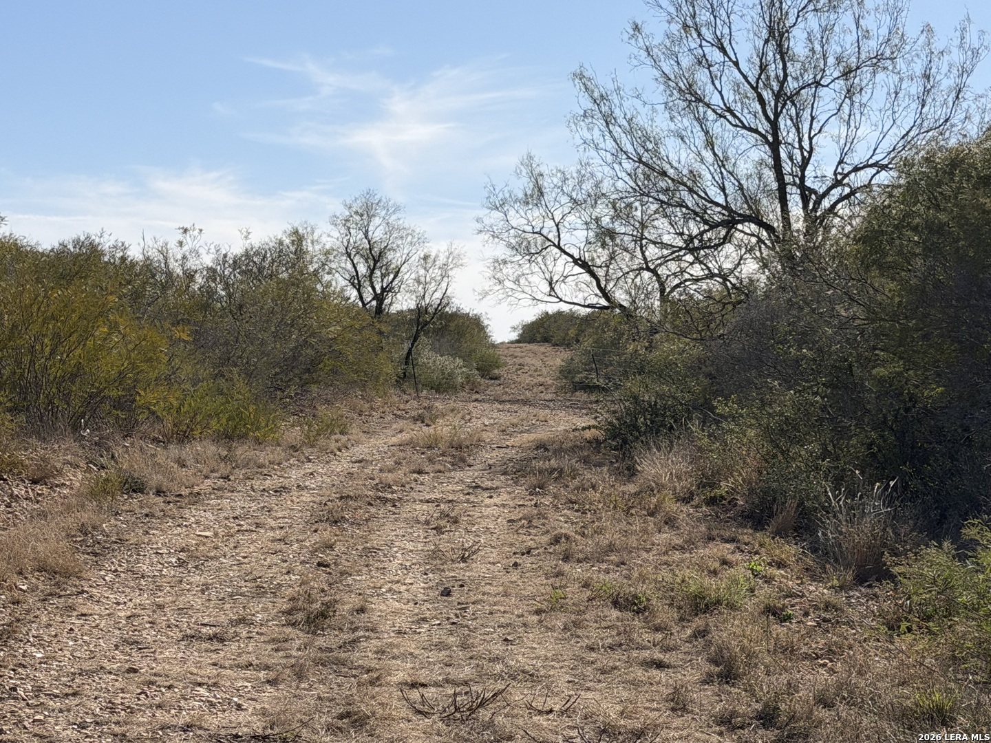 TBD CR 2537/Moore Hollow Road