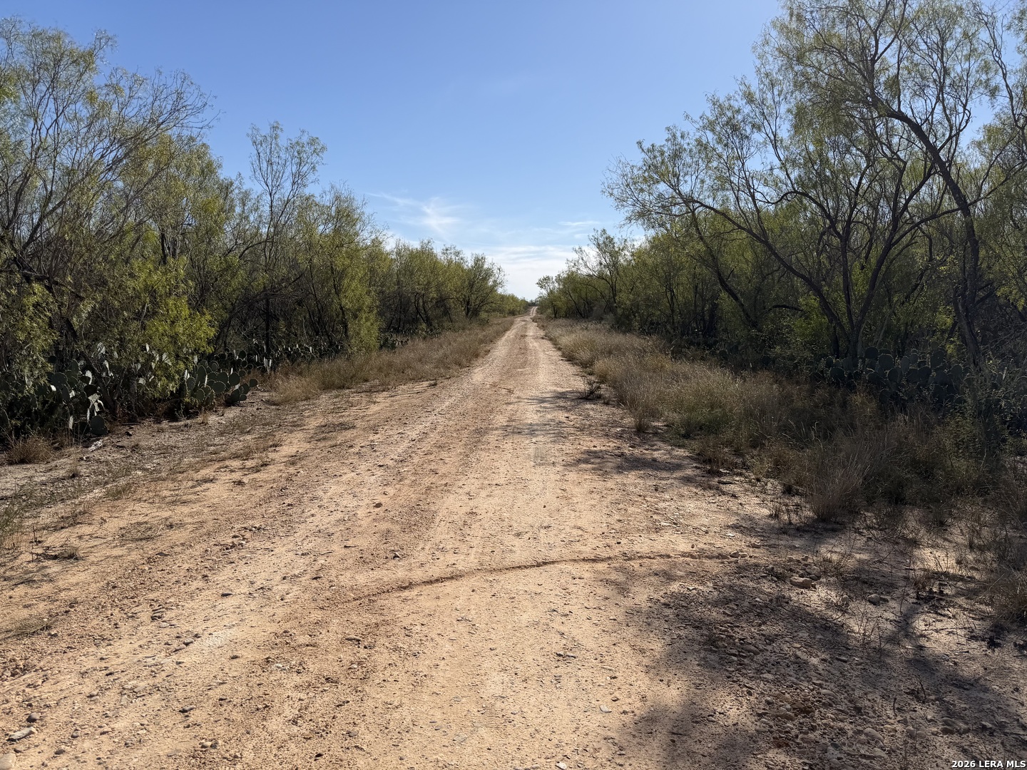 TBD CR 2537/Moore Hollow Road