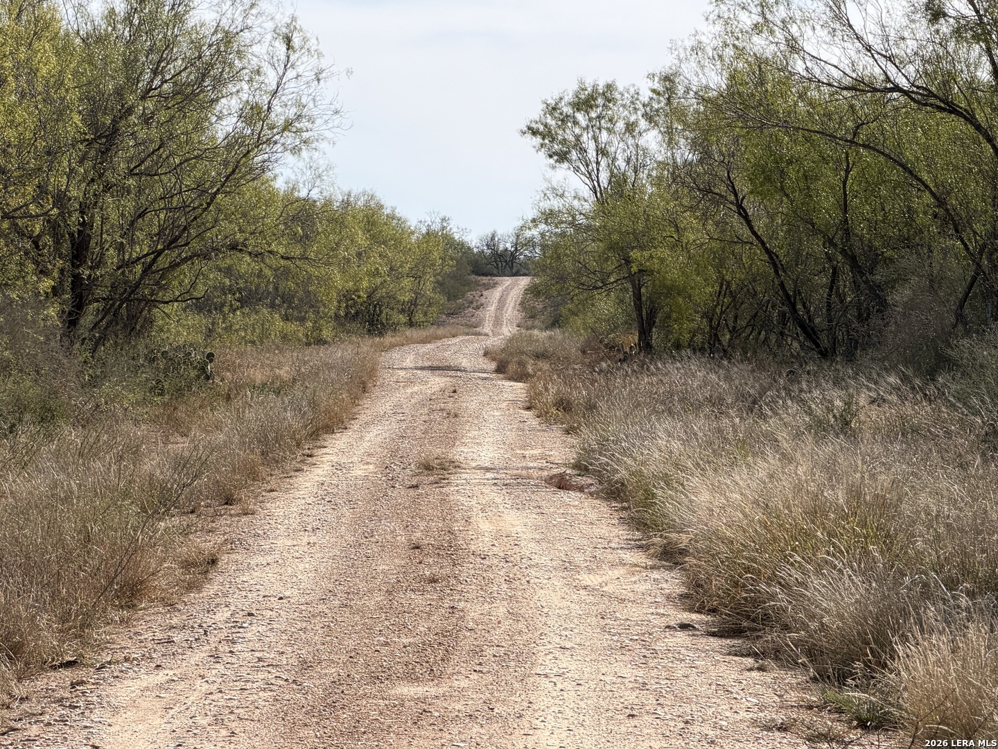 TBD CR 2537/Moore Hollow Road