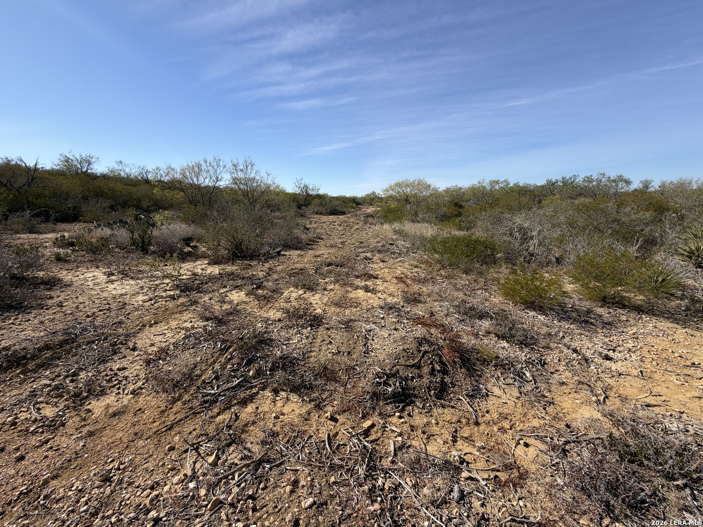 TBD CR 2537/Moore Hollow Road
