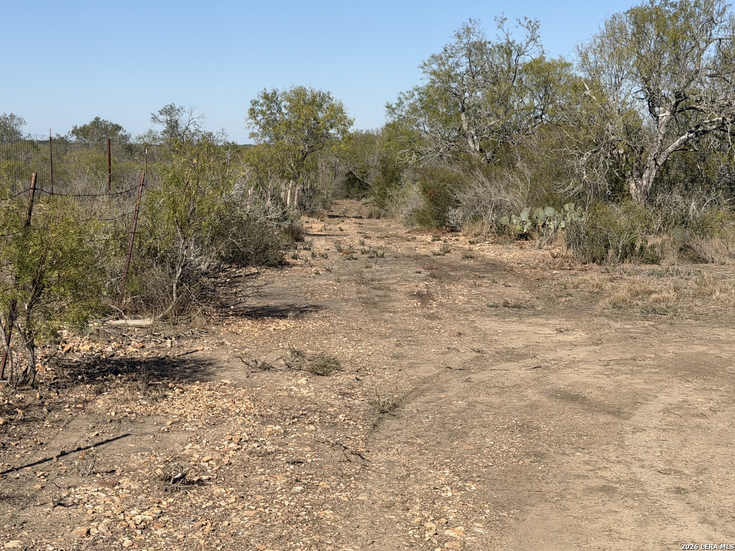 TBD CR 2537/Moore Hollow Road