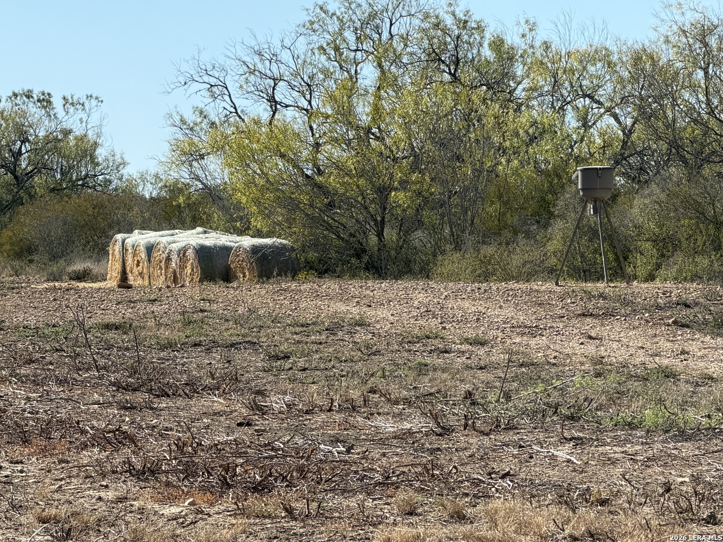 TBD CR 2537/Moore Hollow Road