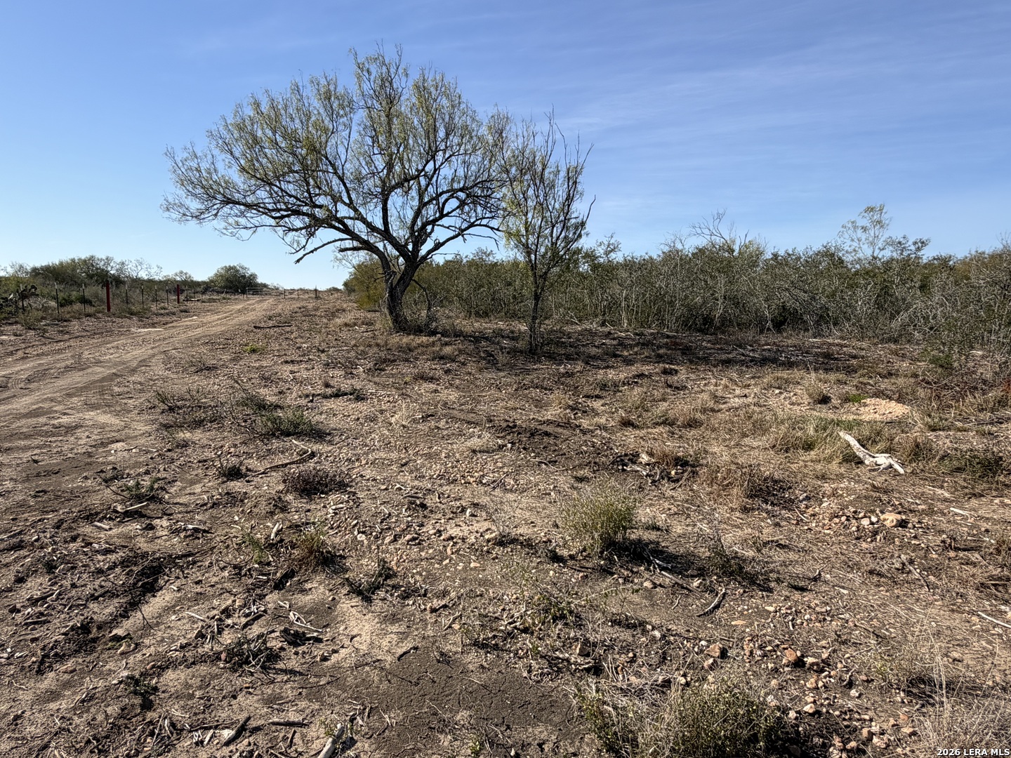 TBD CR 2537/Moore Hollow Road
