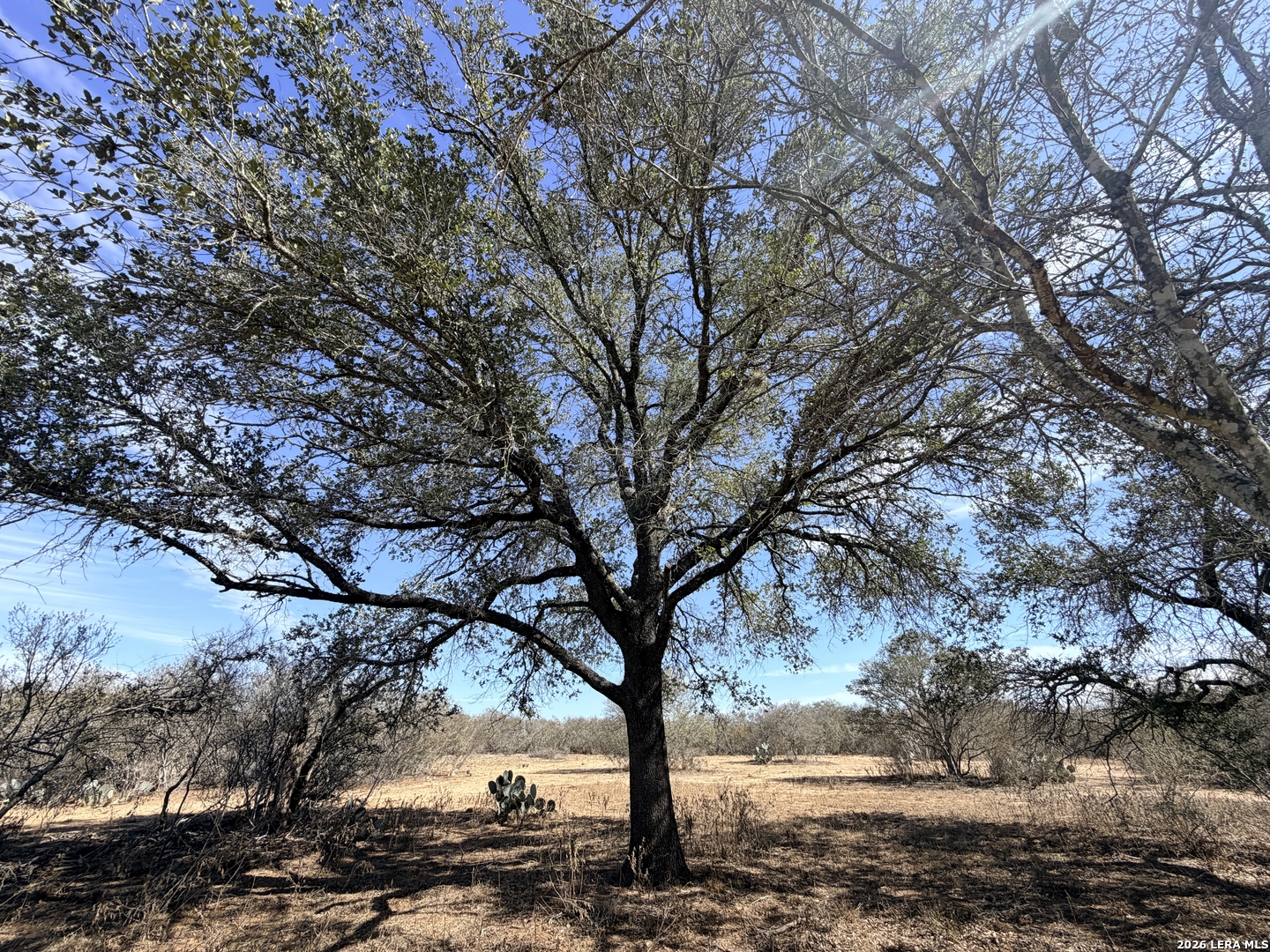 1140 County Road 765