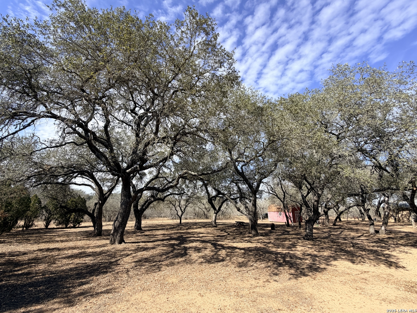 1140 County Road 765