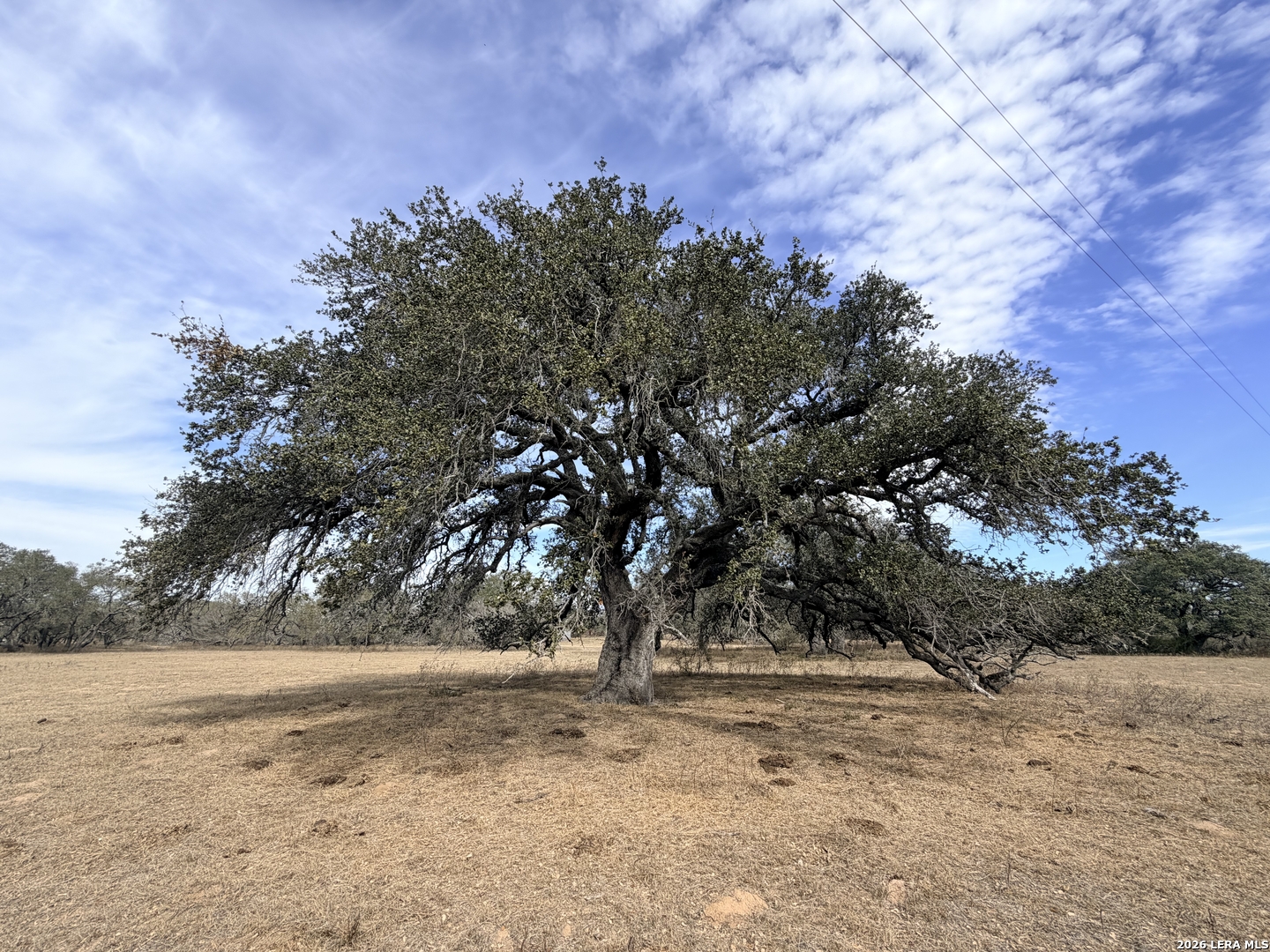 1140 County Road 765