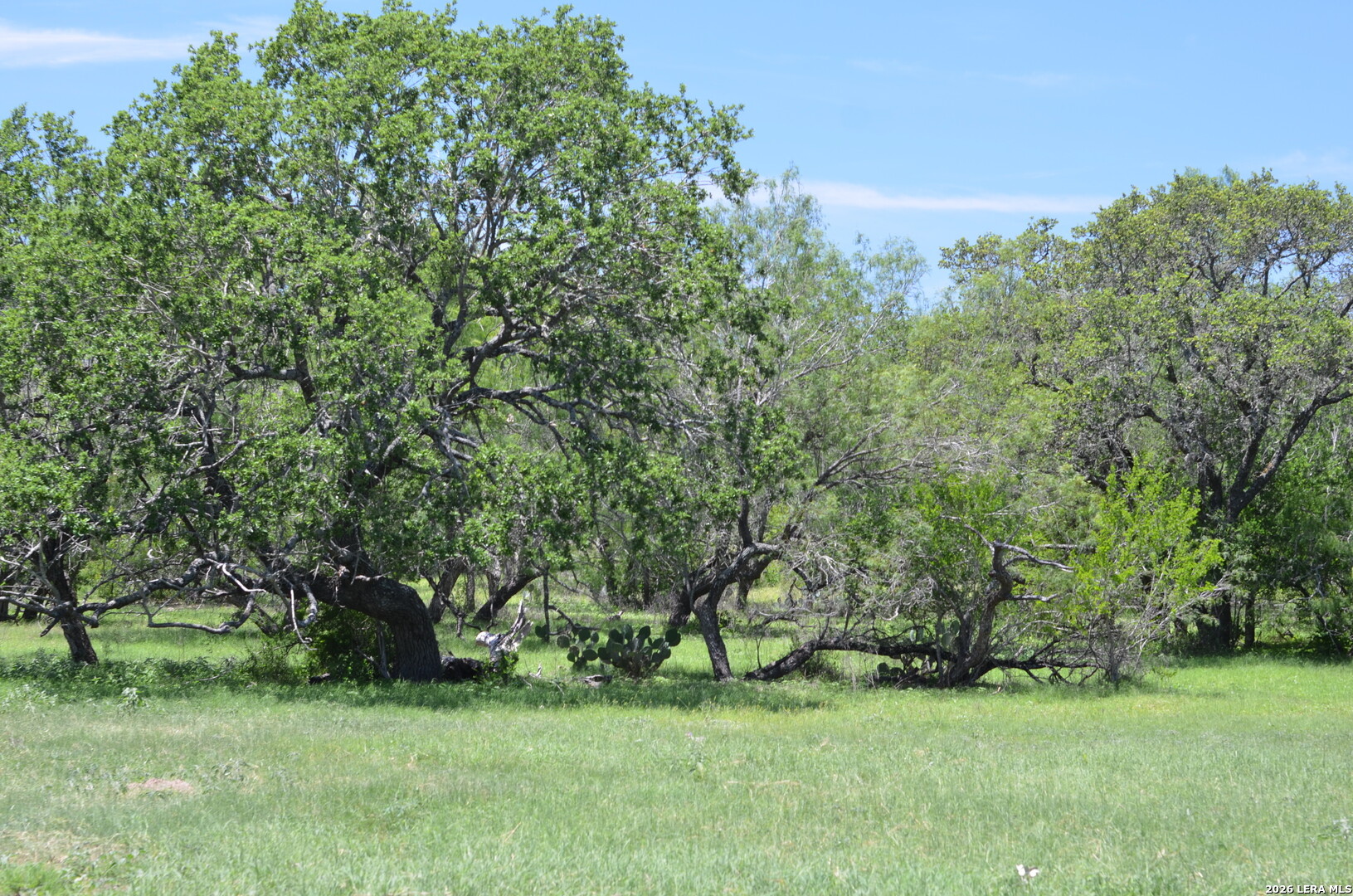 1140 County Road 765