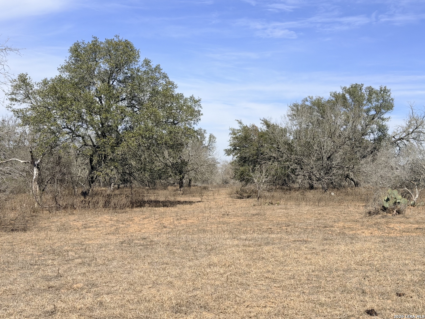 1140 County Road 765