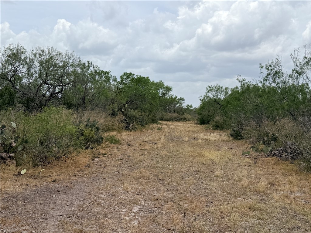 242 Cinco Millas Road