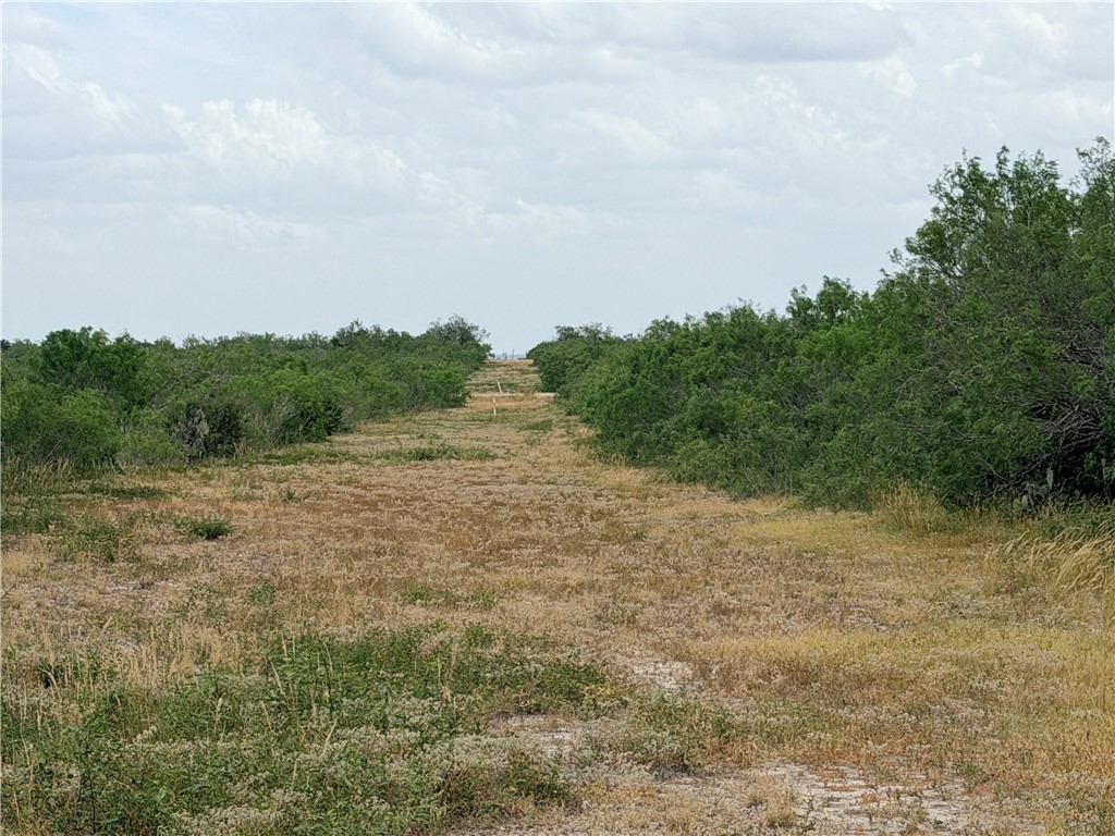 242 Cinco Millas Road