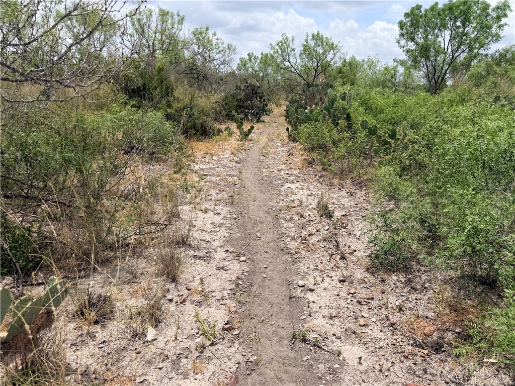242 Cinco Millas Road