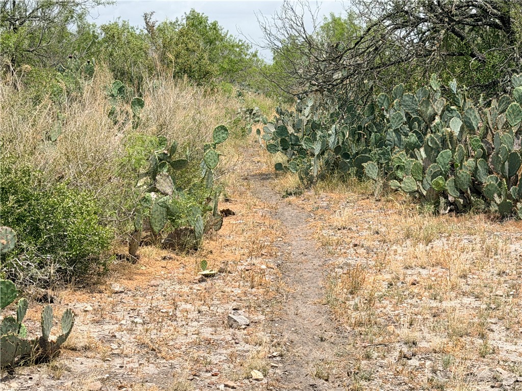 242 Cinco Millas Road