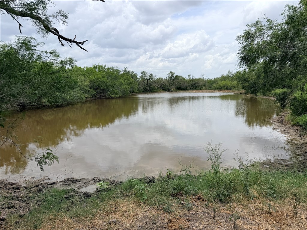 242 Cinco Millas Road