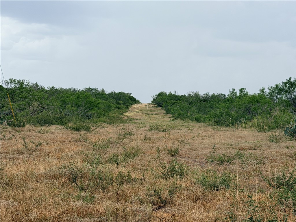 242 Cinco Millas Road