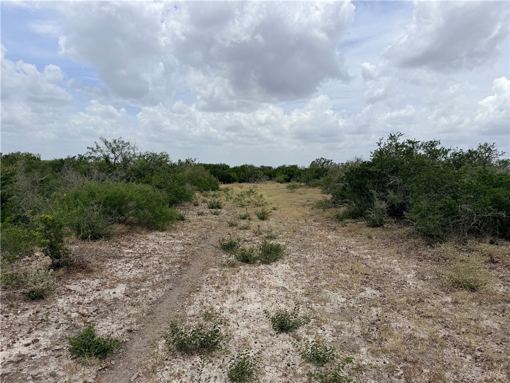242 Cinco Millas Road
