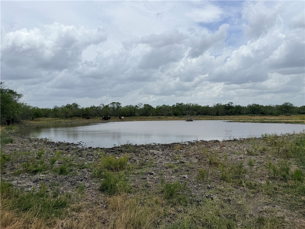 242 Cinco Millas Road