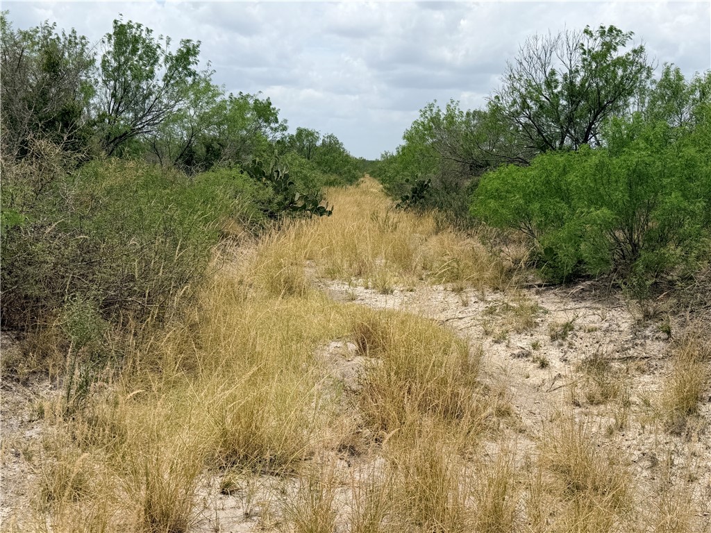 242 Cinco Millas Road