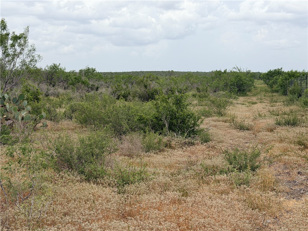 242 Cinco Millas Road