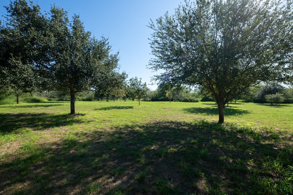 155 Mystic Drive Dr