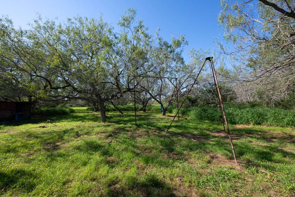 155 Mystic Drive Dr