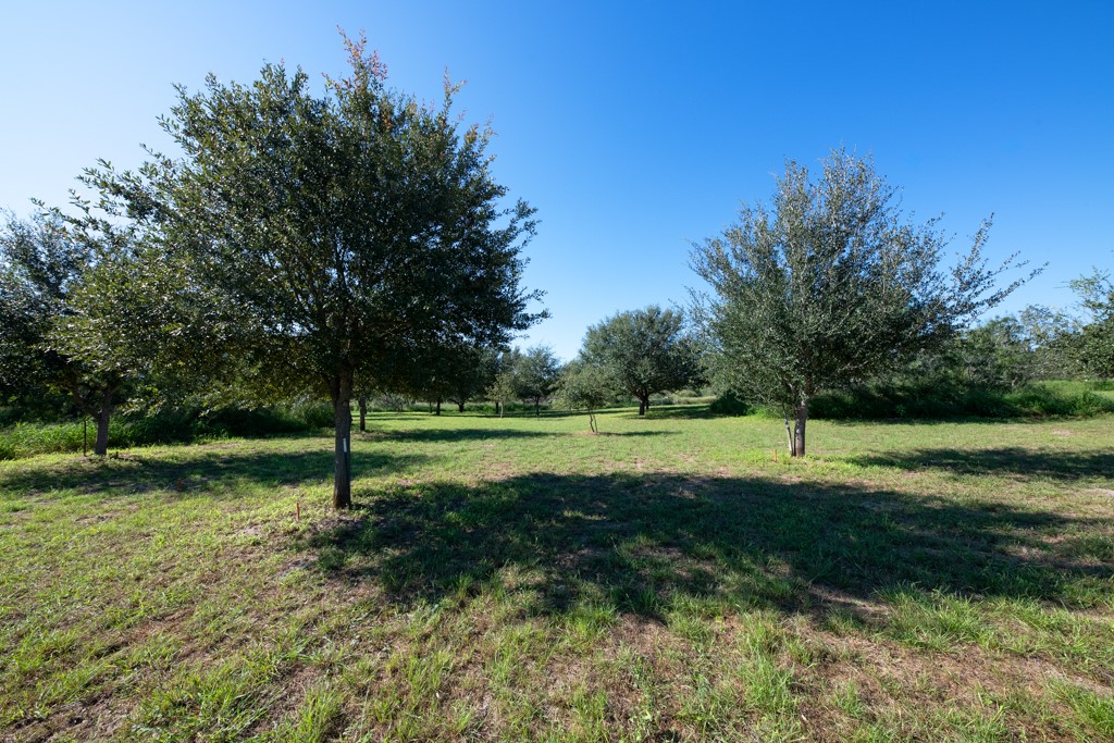 155 Mystic Drive Dr