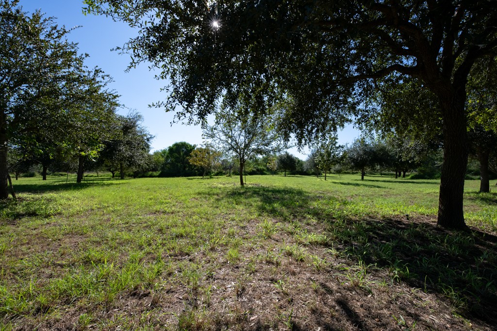 155 Mystic Drive Dr