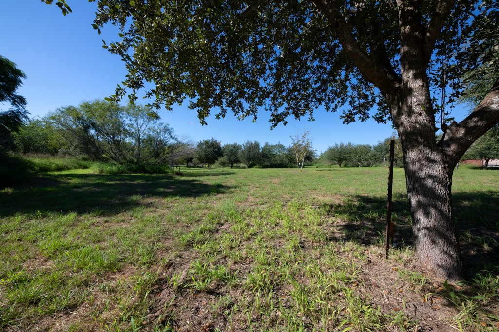 155 Mystic Drive Dr