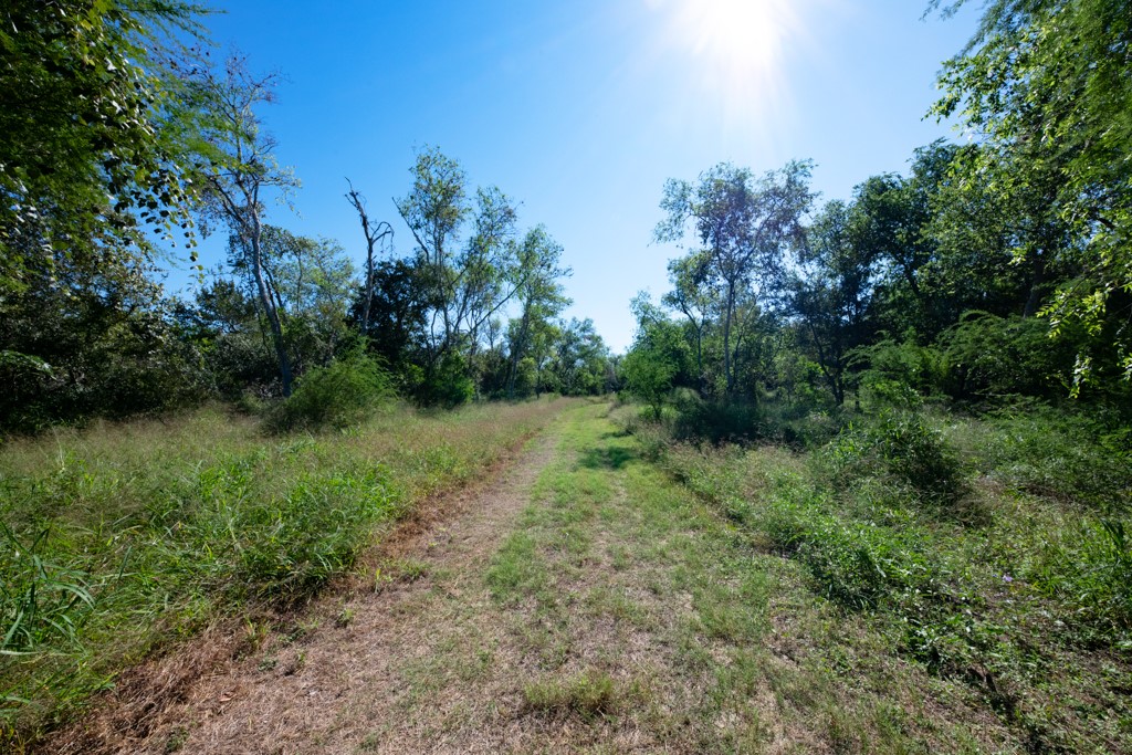 155 Mystic Drive Dr