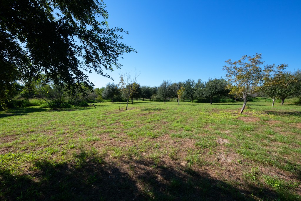 155 Mystic Drive Dr