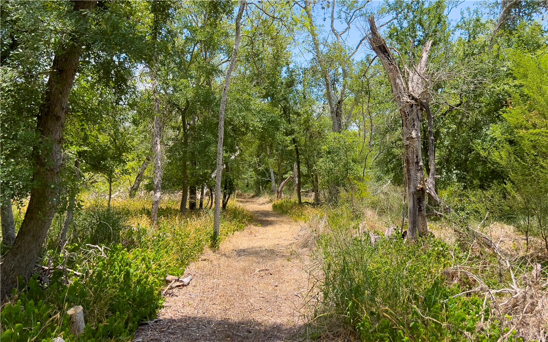 155 Mystic Drive Dr