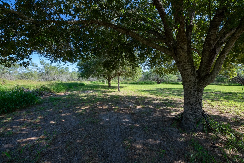 155 Mystic Drive Dr
