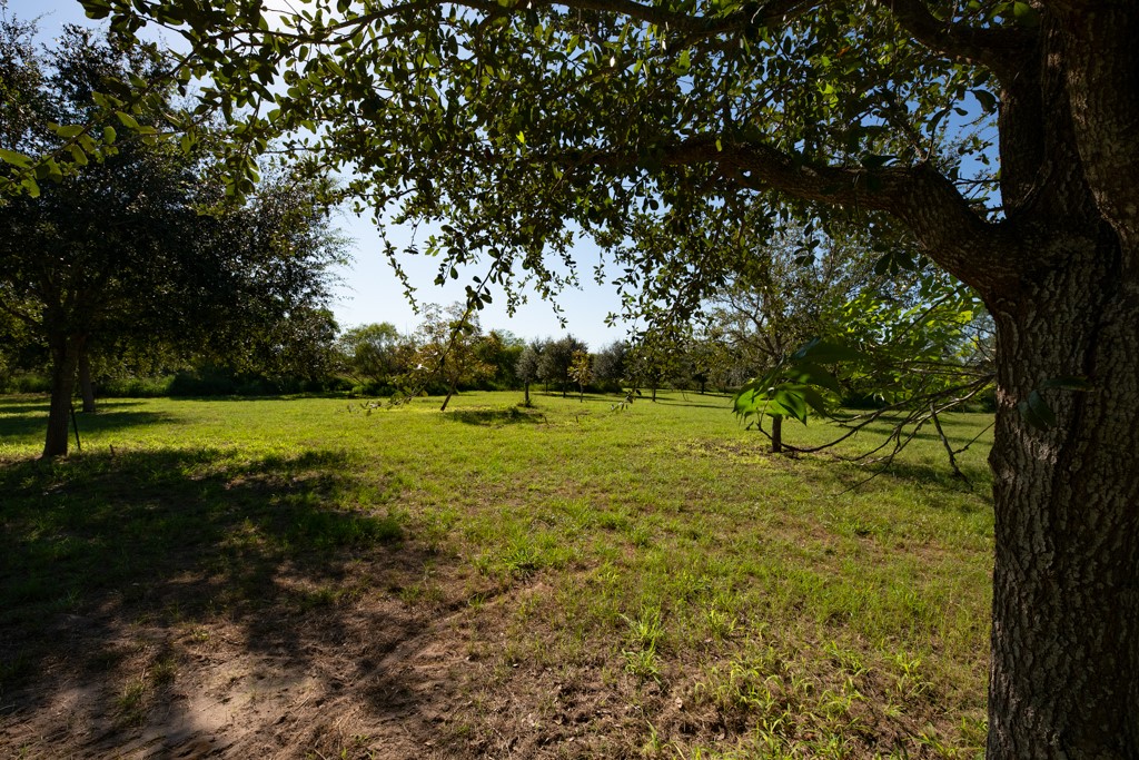 155 Mystic Drive Dr