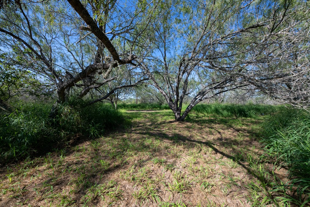 155 Mystic Drive Dr