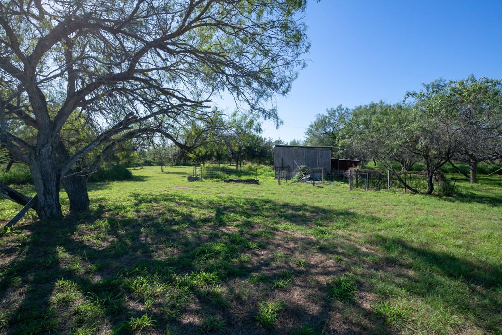 155 Mystic Drive Dr