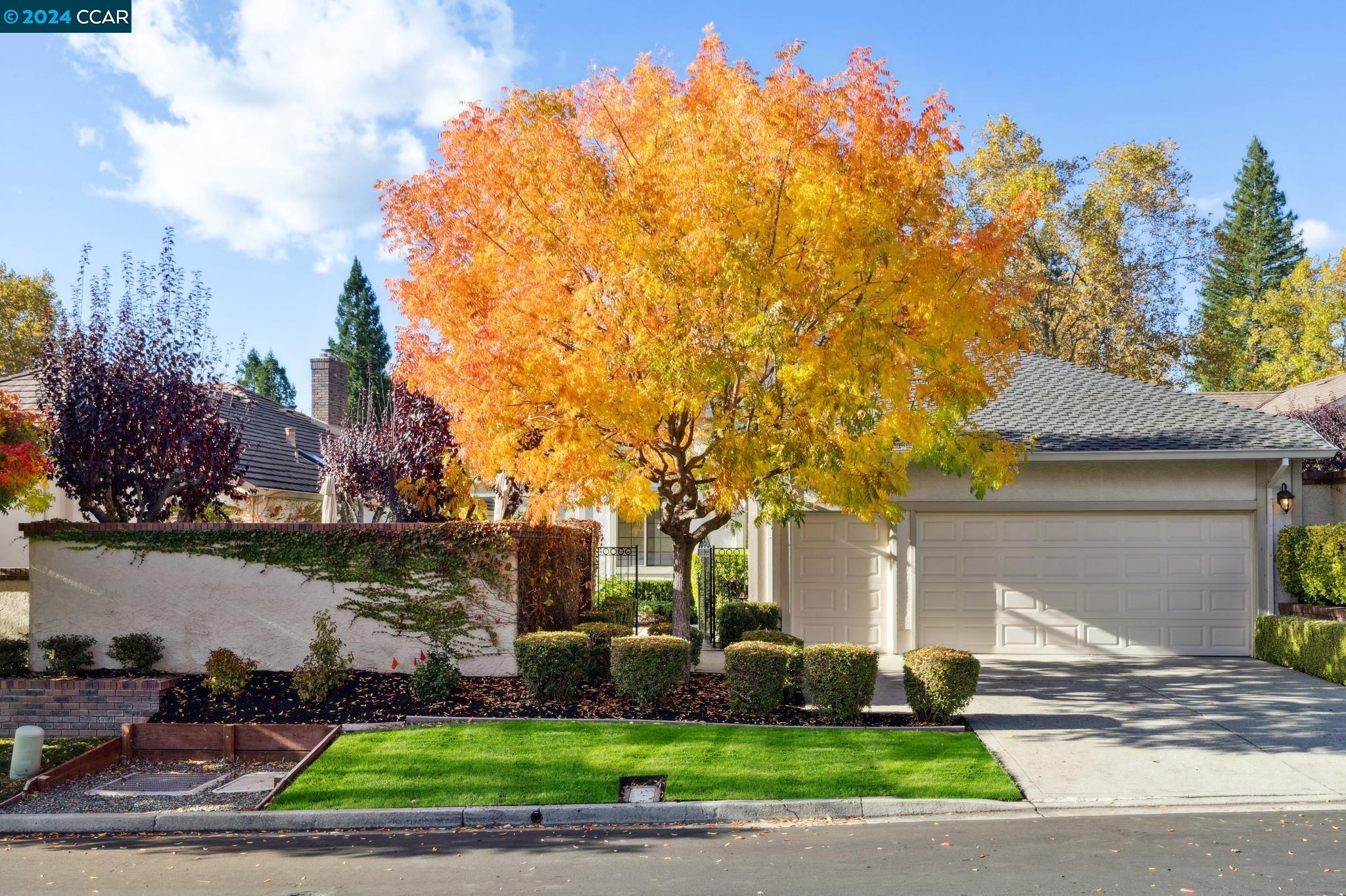 316 Jacaranda Dr