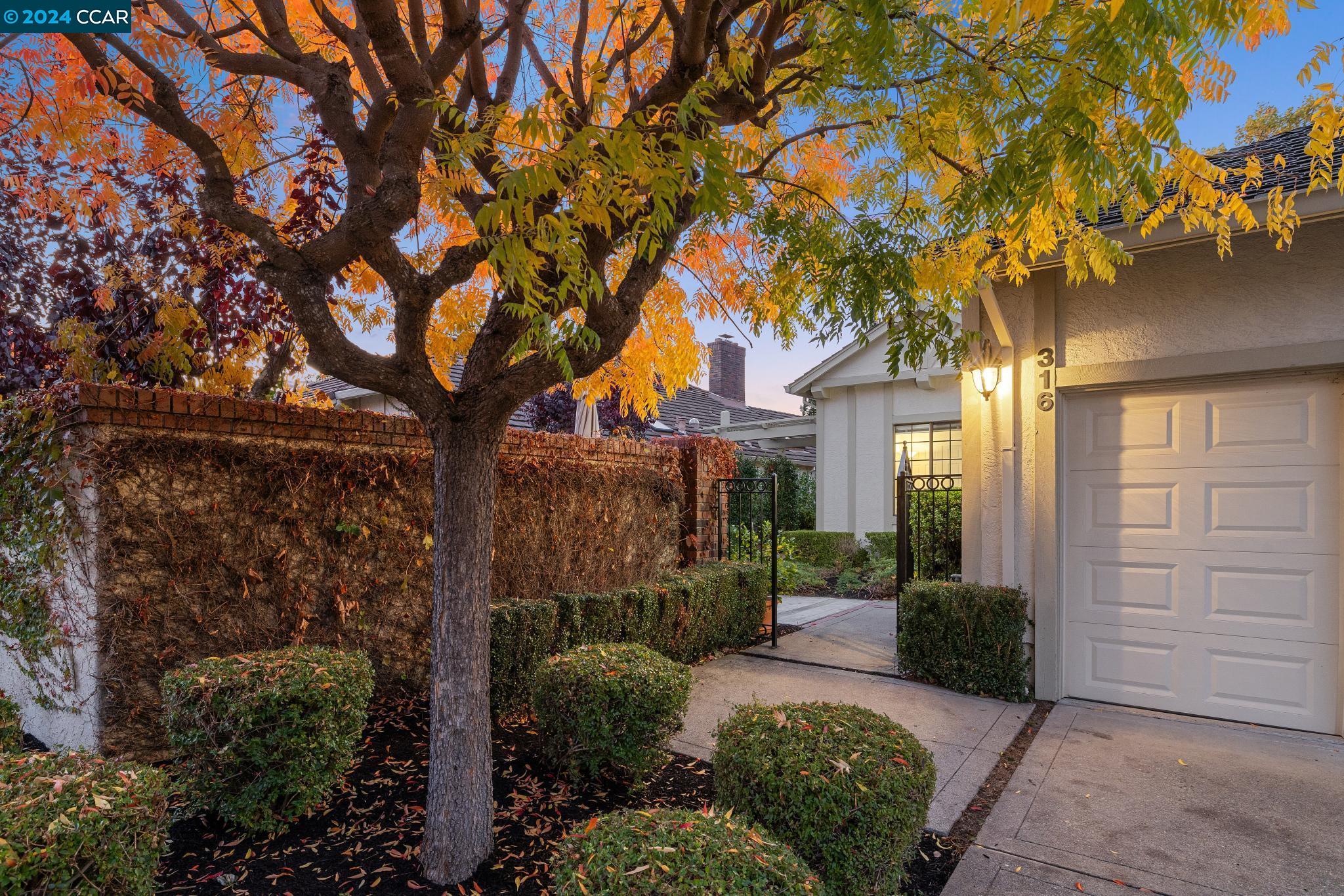 316 Jacaranda Dr