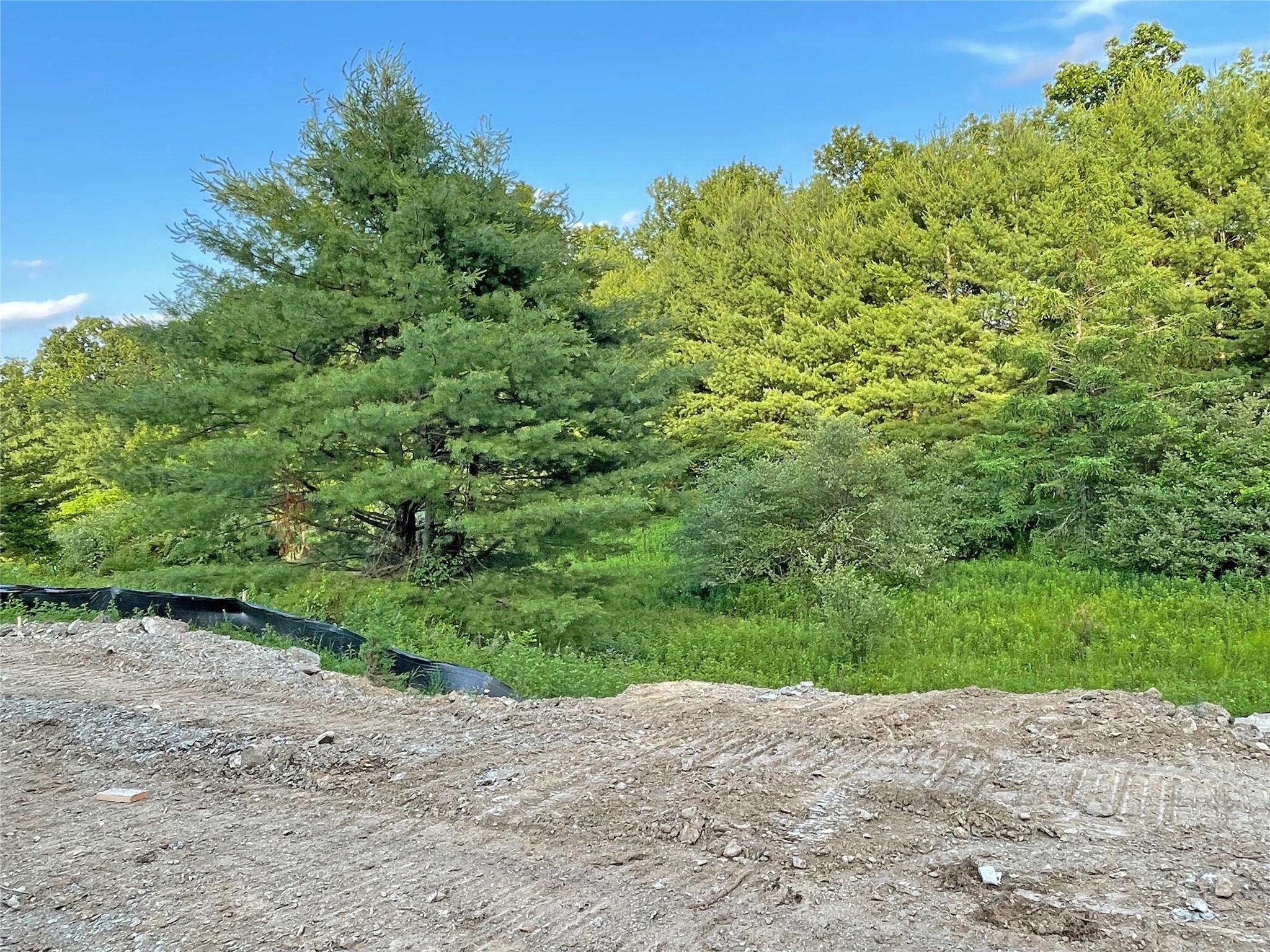 32 Meadow View Court