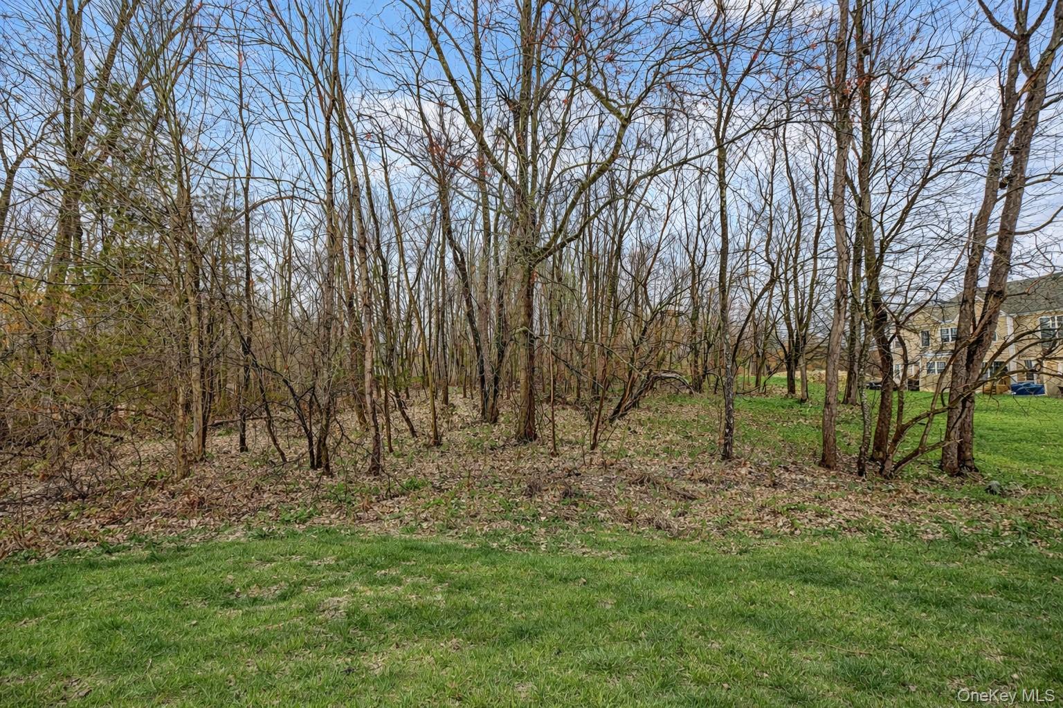 1123 Cold Spring Road