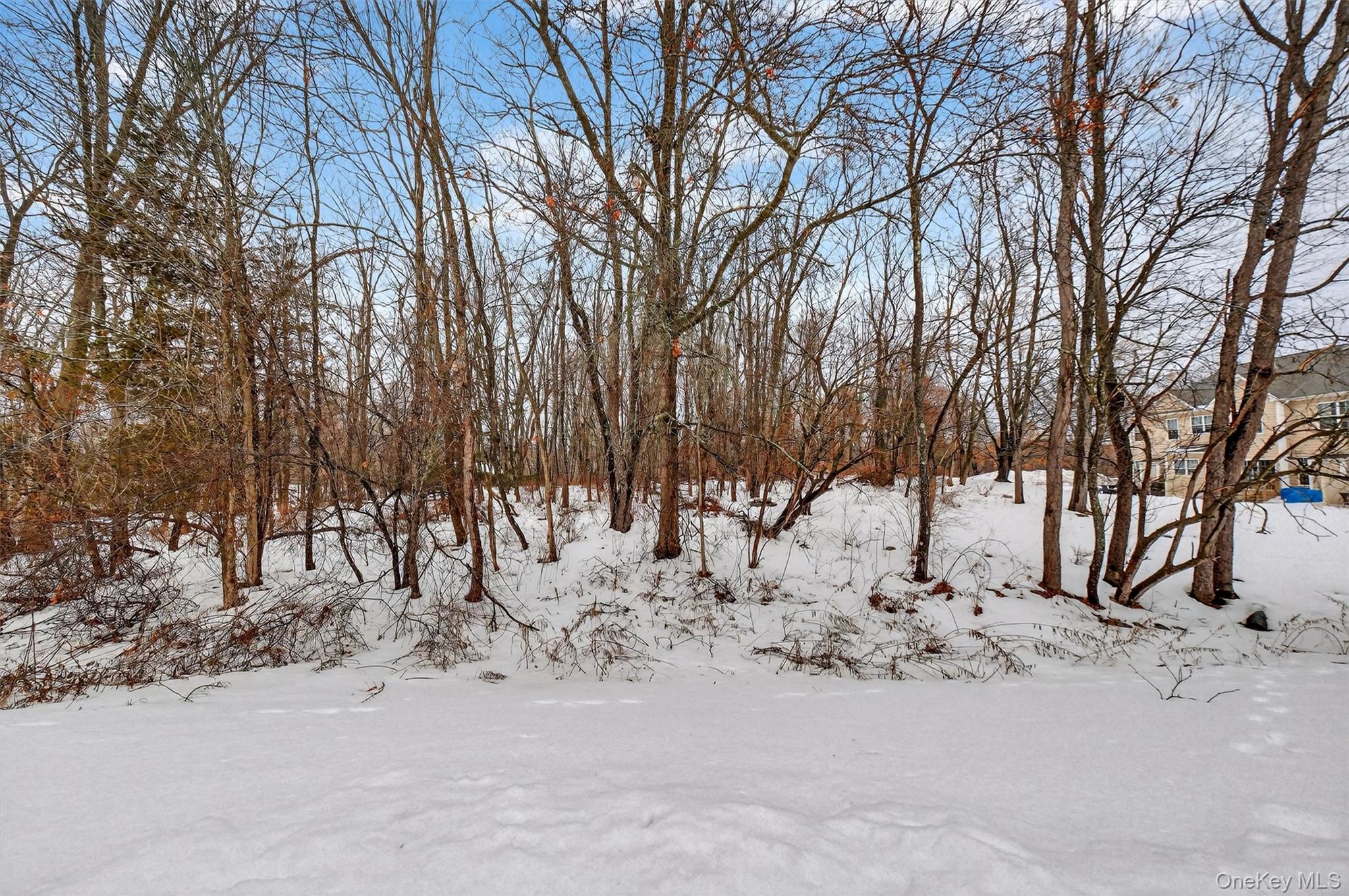 1123 Cold Spring Road