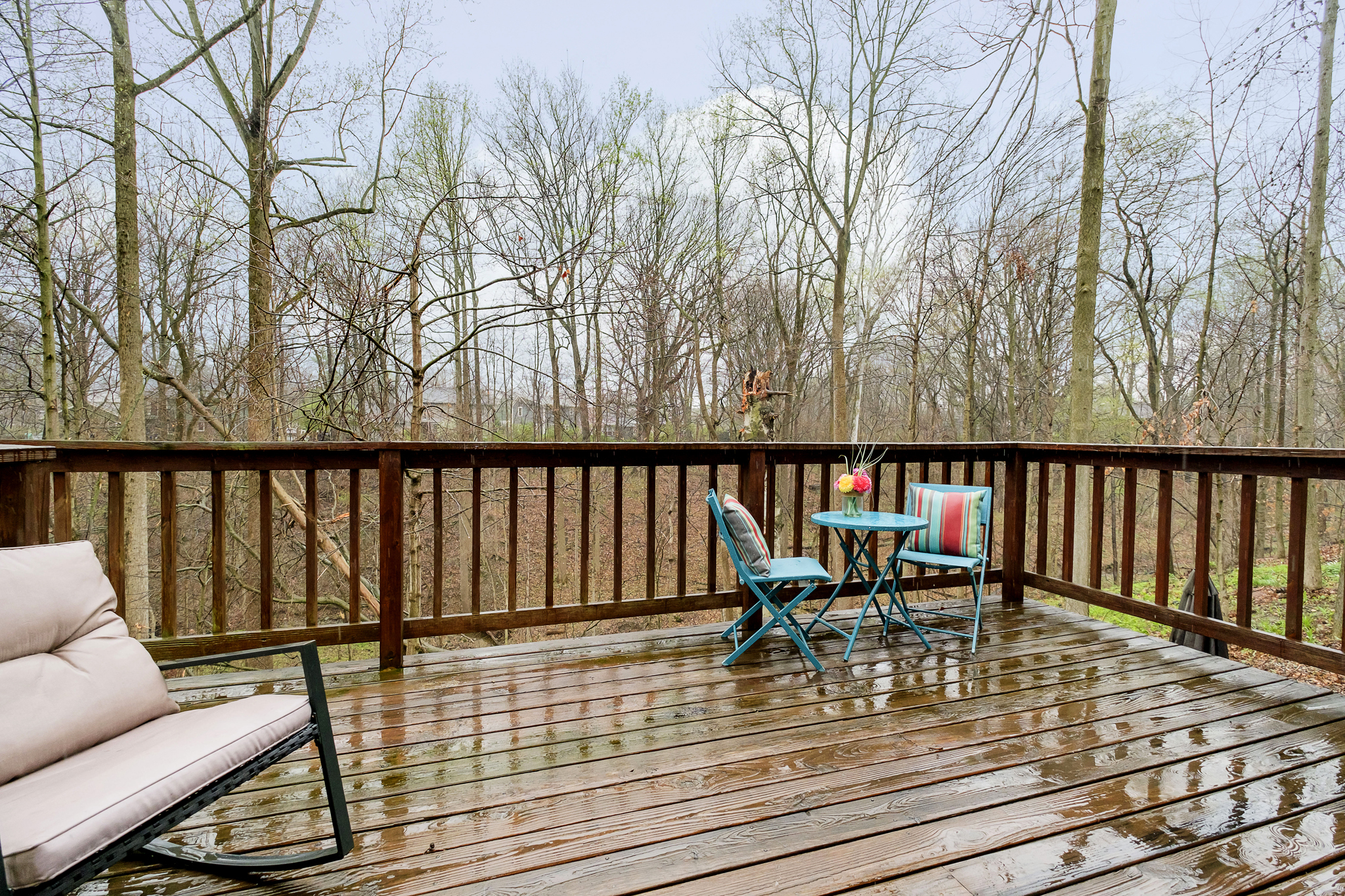 519 Currant Drive