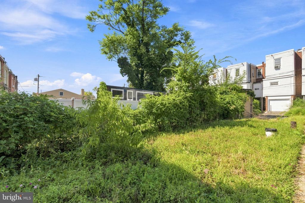 Overgrown vacant lot with a large tree and neighboring row houses.