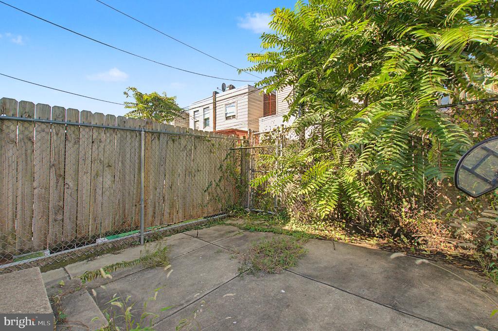 Backyard patio with concrete paving, a wooden privacy fence, and dense trees and shrubs.