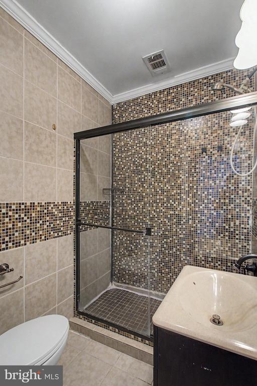 Bathroom with a glass-enclosed mosaic-tile shower, white toilet, and sink vanity.