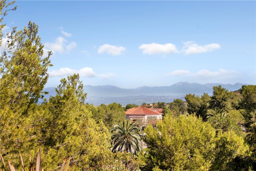 1 Savona Court