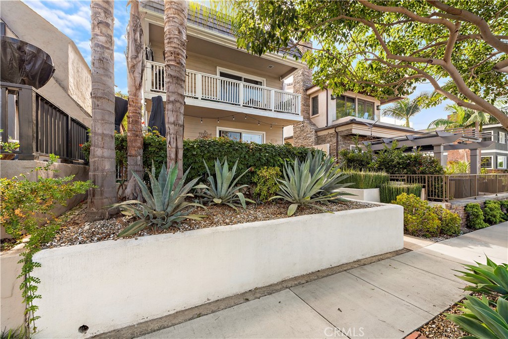 602 #A Avocado Avenue