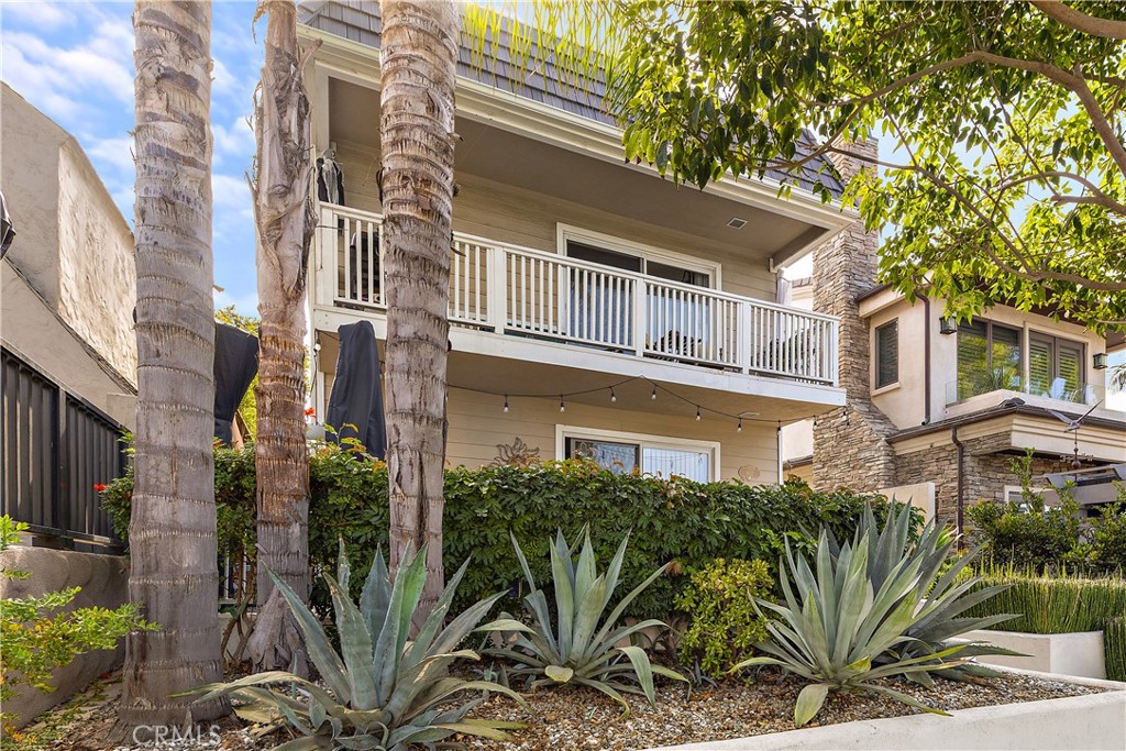 602 #A Avocado Avenue
