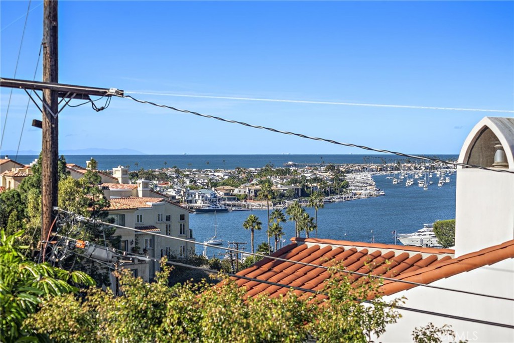 409 Dahlia Avenue