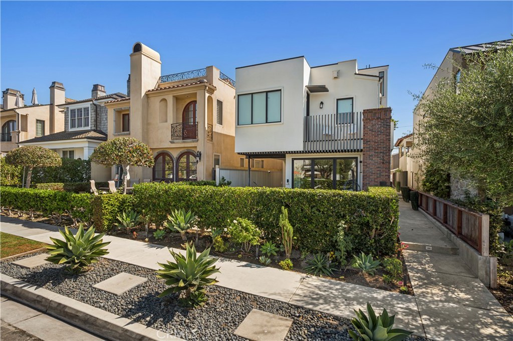 608 1/2 Orchid