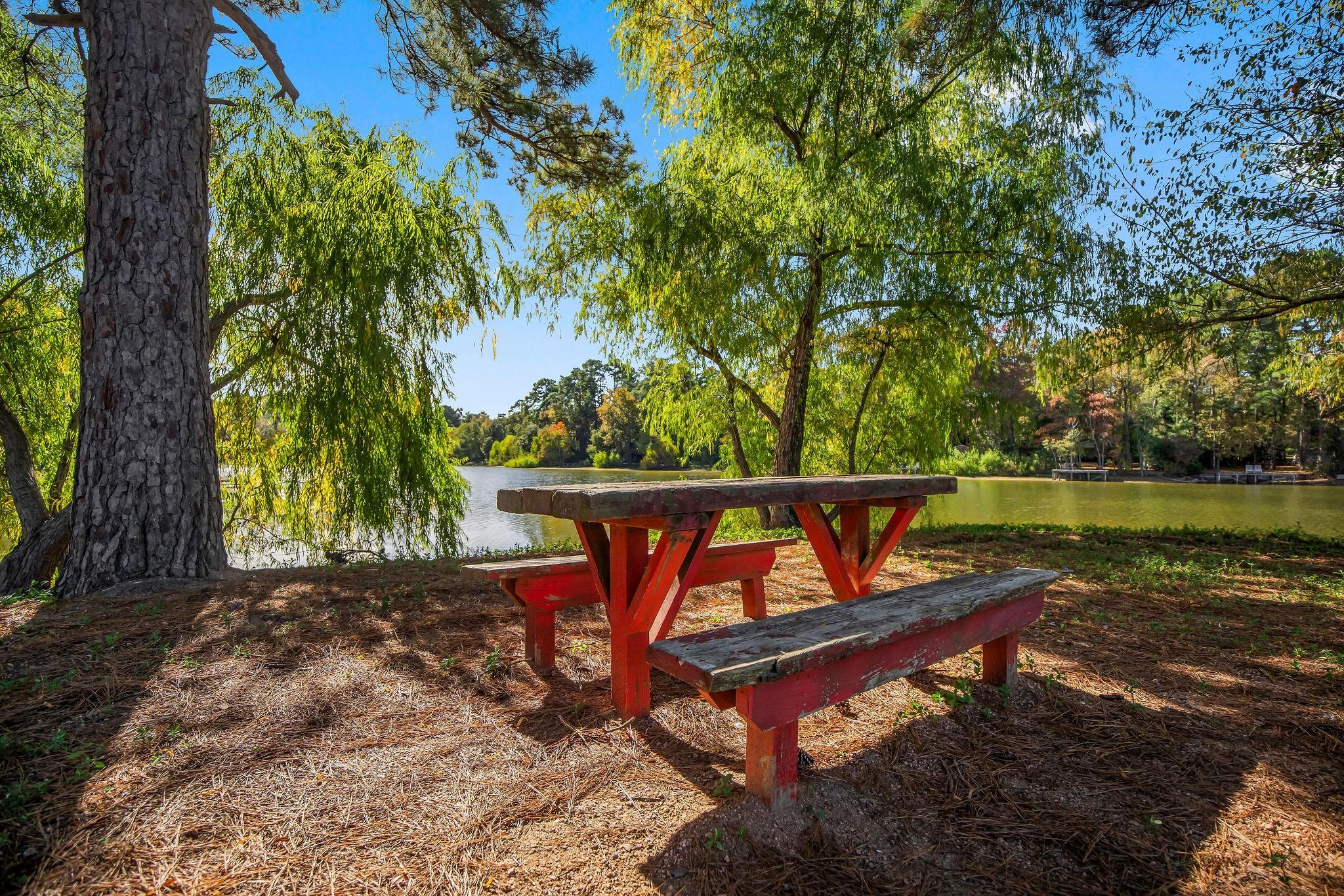 Red picnic table beneath trees beside a wooded pond.